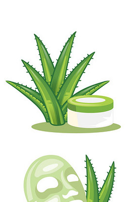 人參護膚品矢量素材 化妝品視覺設計的魅力與創新